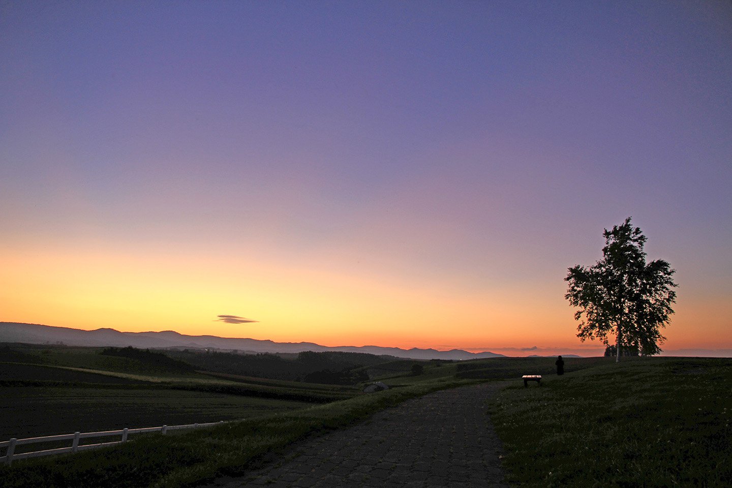 🏞️ 신에이 언덕 전망공원(신에이노오카 텐보코엔) 이미지 4
